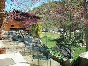 Hotel Buckeye Tree 3*
