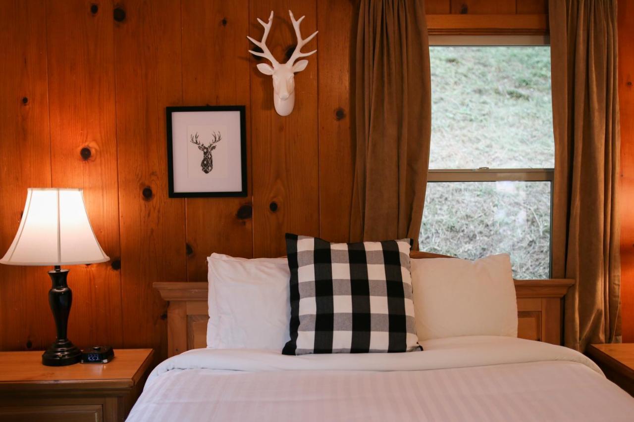 Hotel Buckeye Tree 3*
