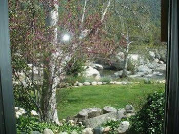 Hotel Buckeye Tree 3*