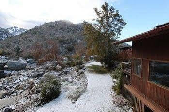 Hotel Buckeye Tree
